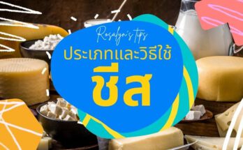 ประเภทชีส