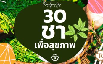 30 ชาเพื่อสุขภาพ