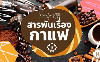 สารพันเรื่อง กาแฟ